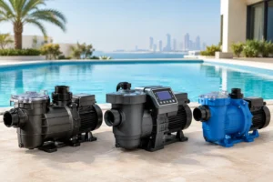 Variable Speed Pump Comparison for UAE Pools